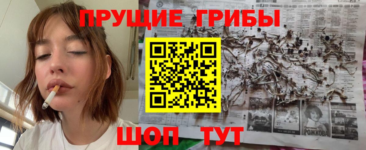 Истра  Галлюциногенные грибы GOLDEN TEACHER  Вход с VPN 